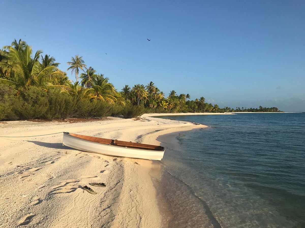 PT 11 nesting dinghy beached